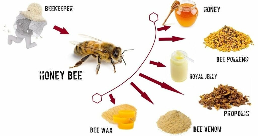 prodotti alveare api